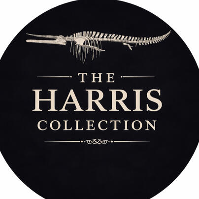 The Harris Collection logo — fossils, jade, and natural history specimens